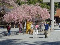 「家康公立ち上がり石」