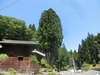 「吉沢の田高杉」