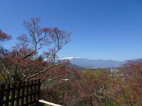 高遠城址公園から見た中央アルプス