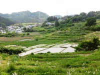 千框の棚田