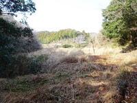 耕作放棄された水田跡