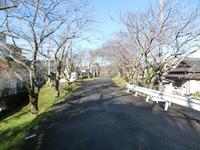 島田大堤