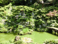 満光寺の庭園