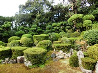 枯山水庭園