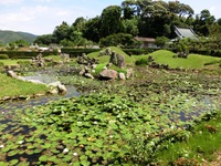 摩訶耶寺庭園