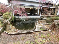 池