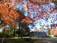 天守台