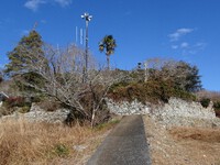 徳泉寺を見上げる