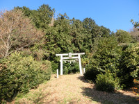高根神社参道