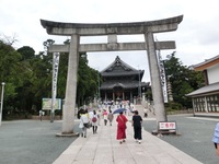 参道の鳥居