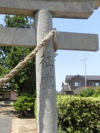 「征露」