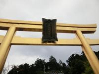 金色の鳥居