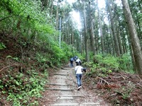 土佐坂