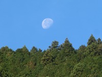 月齢20日の月