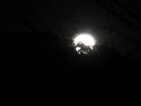 沈みかけた月