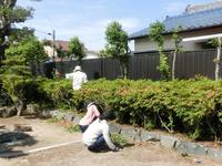 旧津倉家住宅庭園草取り