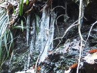 氷柱