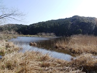 鶴ヶ池
