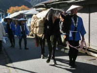 時代行列の馬