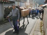 時代行列の馬