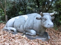 「牛山公園」の牛