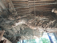奥の院の「龍」