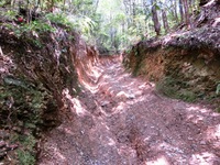 荒れた山道