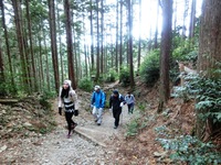 秋葉山表参道
