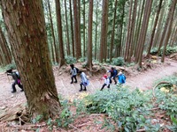 秋葉山表参道