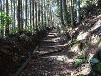 山道