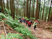 もうすぐ尾根道