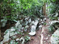 細い山道