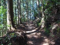 200回目の秋葉山！⑧―「八十八夜」前日