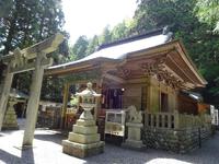 新緑の北遠を♪グルリ⑯―山住神社のフウロケマン