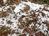 融け残った雪