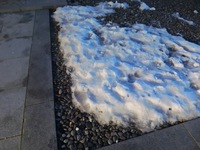 初雪