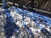 残雪