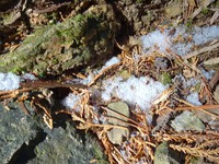 表参道脇の残雪