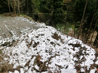 融け残った雪
