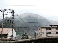 佐久間に舞う雪