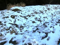 残雪
