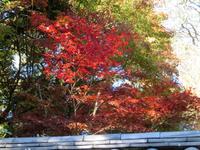 油山寺の紅葉