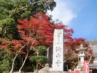 油山寺の紅葉