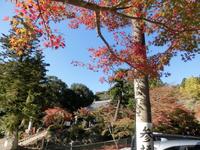 油山寺の紅葉