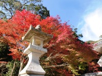油山寺の紅葉
