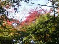 油山寺の紅葉