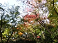 油山寺の紅葉