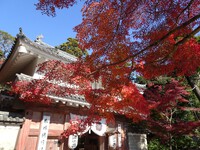 油山寺の紅葉