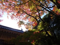 油山寺の紅葉