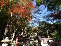 油山寺の紅葉